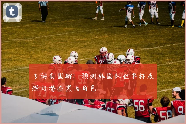 专访前国脚：预测韩国队世界杯表现与潜在黑马角色