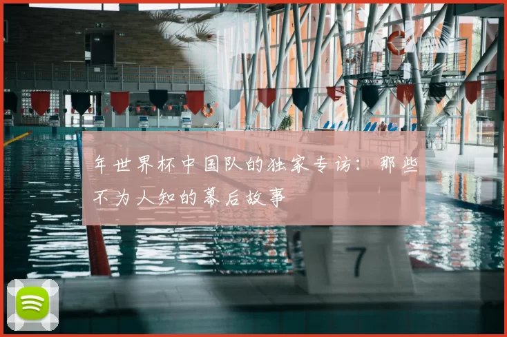 年世界杯中国队的独家专访：那些不为人知的幕后故事
