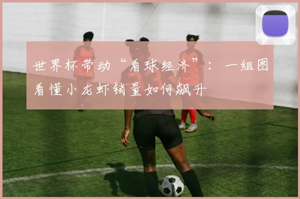 世界杯带动“看球经济”:一组图看懂小龙虾销量如何飙升