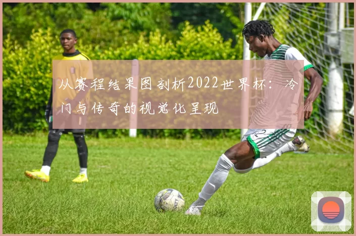 从赛程结果图剖析2022世界杯：冷门与传奇的视觉化呈现