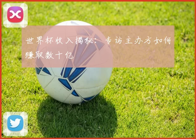 世界杯收入揭秘:专访主办方如何赚取数十亿