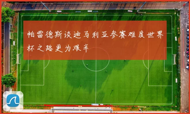帕雷德斯谈迪马利亚参赛难度世界杯之路更为艰辛