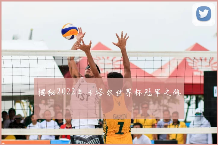 揭秘2022年卡塔尔世界杯冠军之路