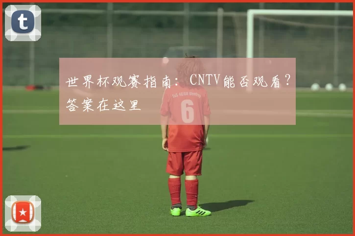 世界杯观赛指南:CNTV能否观看?答案在这里