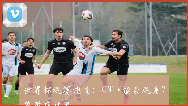 世界杯观赛指南：CNTV能否观看？答案在这里