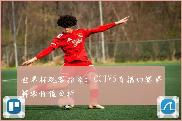 世界杯观赛指南：CCTV5直播的赛事解读价值分析