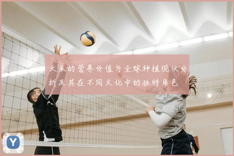 大米的营养价值与全球种植现状分析及其在不同文化中的独特角色