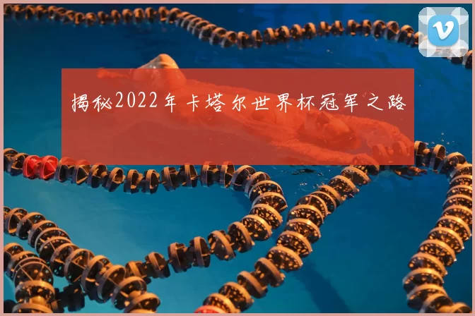 揭秘2022年卡塔尔世界杯冠军之路