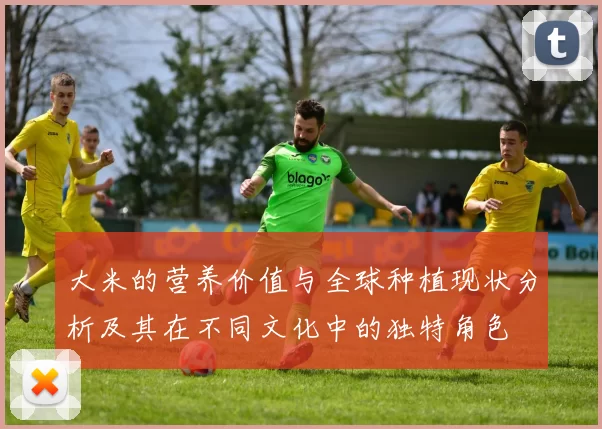 大米的营养价值与全球种植现状分析及其在不同文化中的独特角色